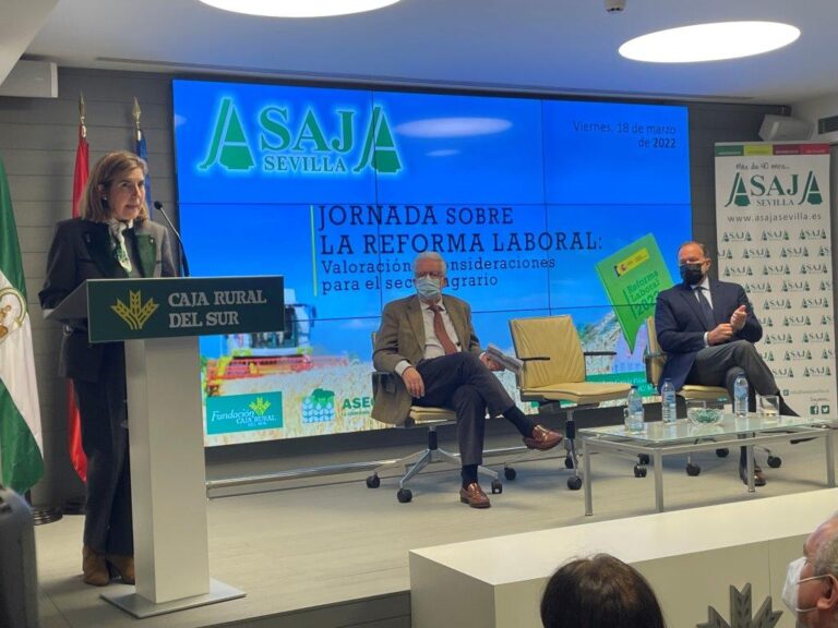 Asaja-Sevilla demanda que la reforma laboral contemple la eventualidad y se adapte a la realidad del campo en su desarrollo reglamentario