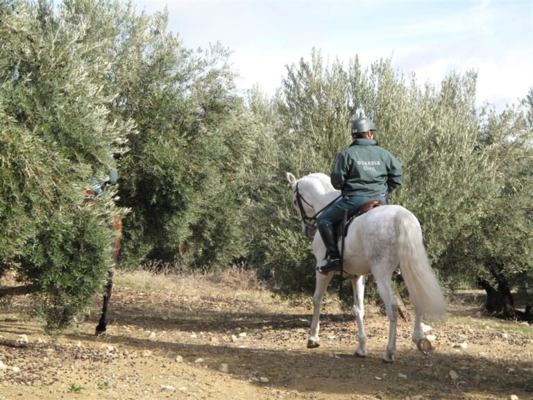 Asaja Jaén aplaude el anuncio de cuatro nuevos equipos roca para vigilar nuestro olivar