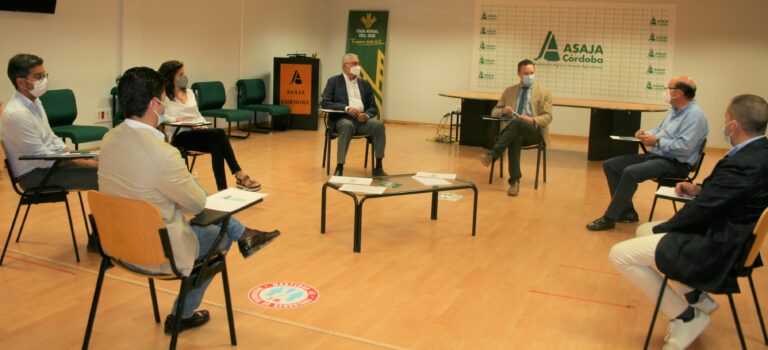 La sectorial del ajo se reúne con el delegado de Agricultura para abordar el comienzo de la campaña