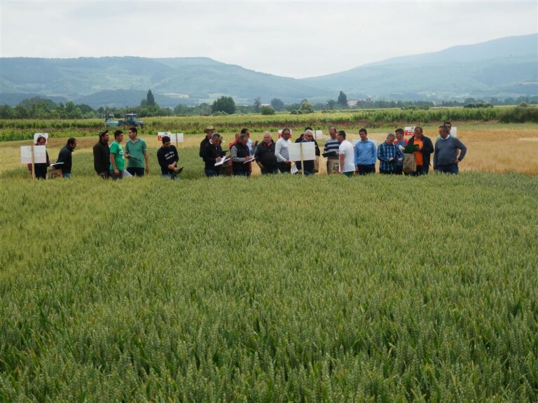 ARAG ASAJA organiza una jornada sobre la adaptación de las diferentes variedades de cereal a las condiciones del suelo y clima para facilitar a los cerealistas riojanos la elección de su siembra