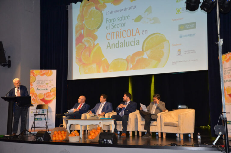 Ricardo Serra representará los agricultores de la UE en el observatorio de mercado de los cítricos.