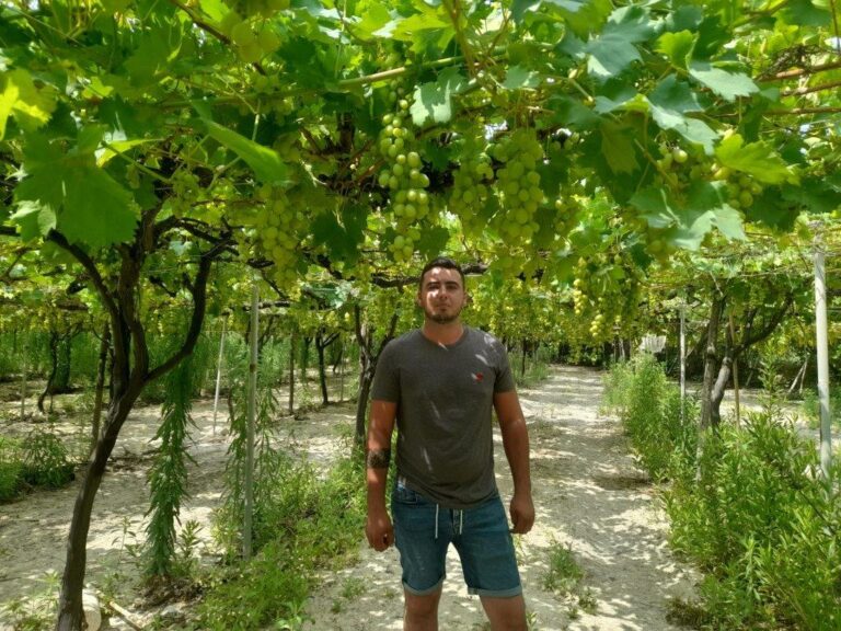 Borja Salas Vara, participante de Cultiva, adquiere experiencia en Frutas Gomariz Carbonell, Murcia
