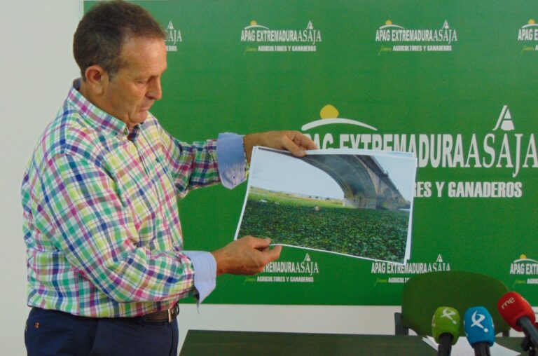 APAG Extremadura ASAJA exige soluciones efectivas que erradiquen por completo el camalote que asola el río Guadiana
