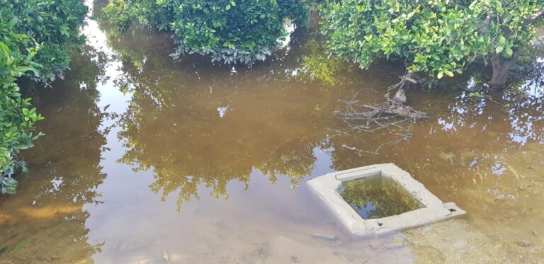 La Dana/gota fría causa pérdidas de 550 millones de euros al Sector Agroalimentario Alicantino y ASAJA exige ayudas directas e inmediatas para los productores