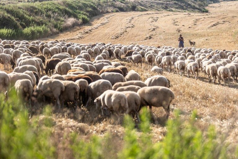 Asaja Rioja ARAG solicita a Agricultura la flexibilización de los nuevos eco regímenes voluntarios