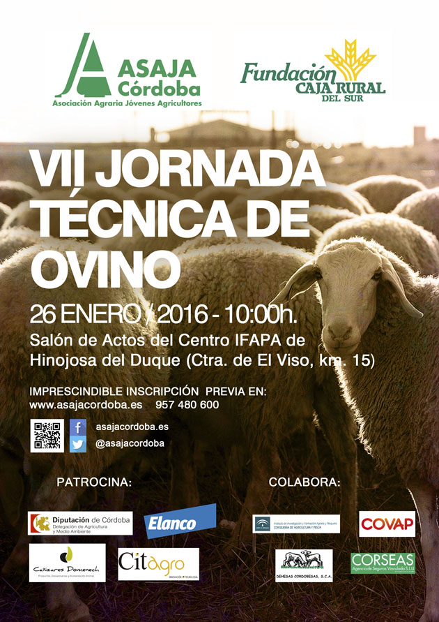 Asaja abordará en su VII Jornada Técnica de Ovino el mercado de la lana, la ganadería ecológica y la sanidad animal