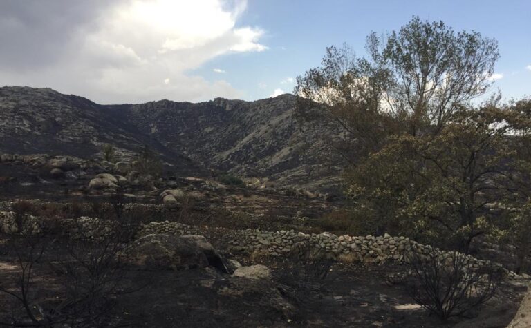 Asaja Ávila logra que se levante el acotamiento de pastos tras el incendio forestal de Navalacruz