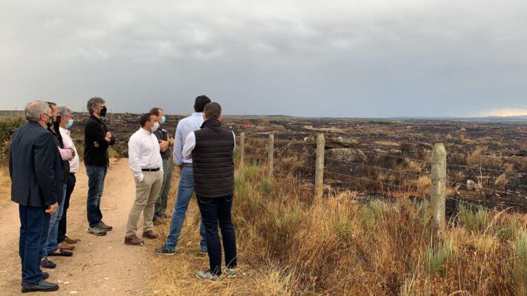 Asaja Salamanca insta a la Junta a que levante el acotamiento de pastos cuanto antes tras el incendio de San Felices