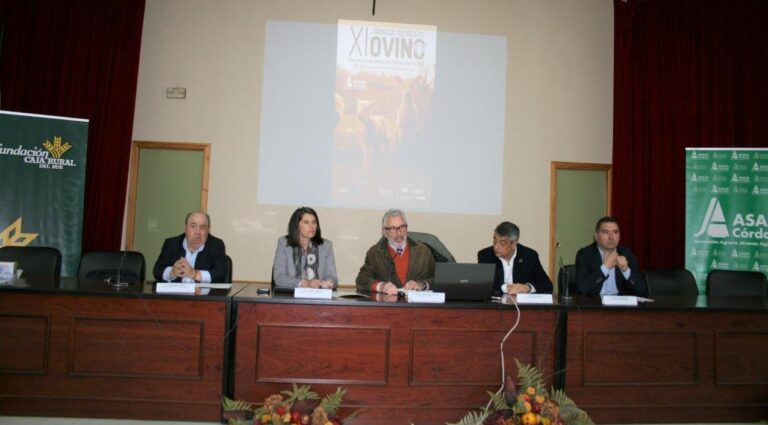 Los ganaderos cordobeses abordan la rentabilidad de las explotaciones ovinas y los retos comerciales