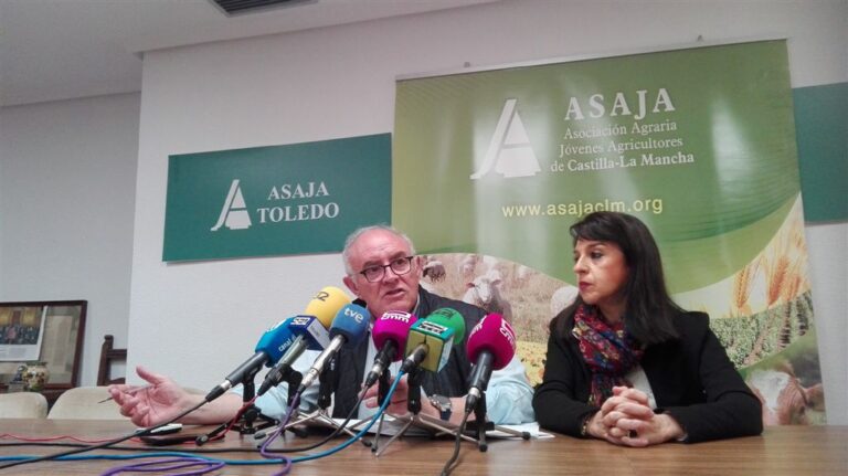 ASAJA CLM critica a las Administraciones por permitir la expansión de la plaga de conejos durante casi una década