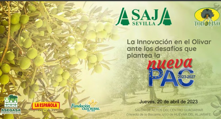 La innovación en el olivar ante los desafíos que plantea la nueva PAC