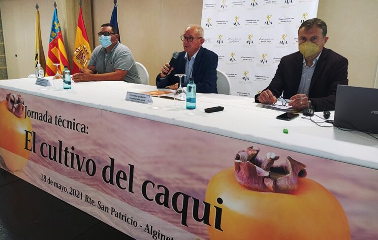 Asaja Valencia AVA exige más fondos para que el IVIA acelere respuestas contra las plagas y enfermedades del caqui