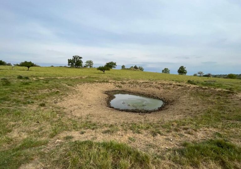 Asaja Salamanca pide medidas urgentes para garantizar el suministro de agua a la ganadería extensiva