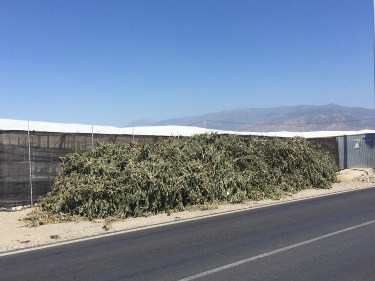 ASAJA Almería solicitará a concejales y delegado de Agricultura que acometan urgentemente un plan para la eliminación de restos vegetales