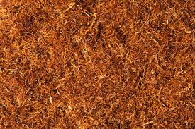«Que se los fume Trump», la campaña de Asaja Extremadura provoca que la multinacional BAT compre tabaco extremeño para esta campaña