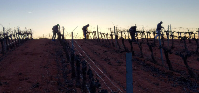 AVA-ASAJA pide celeridad a la Conselleria de Agricultura al pagar sólo el 47% de las ayudas