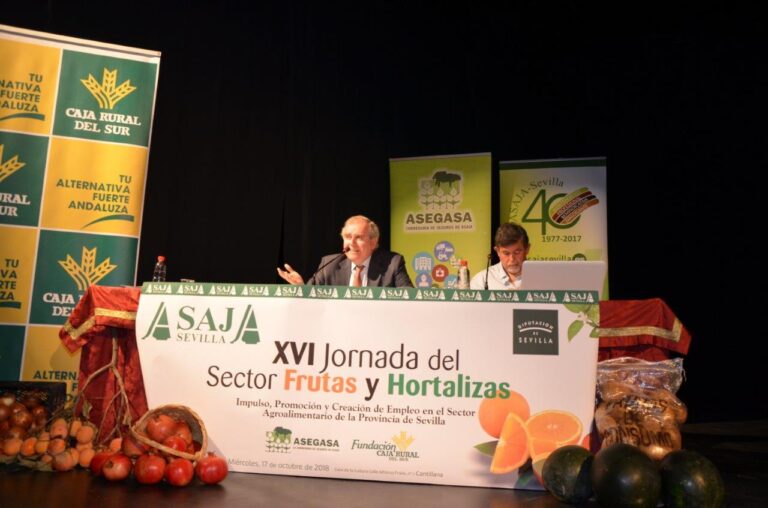 Asaja Sevilla. La Producción citrícola española se recupera y supera el bache productivo de la pasada campaña