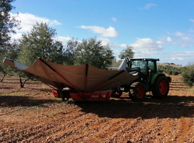 El Gobierno rebaja el número de peonadas necesarias para acceder a subsidio y renta agraria hasta junio de 2023