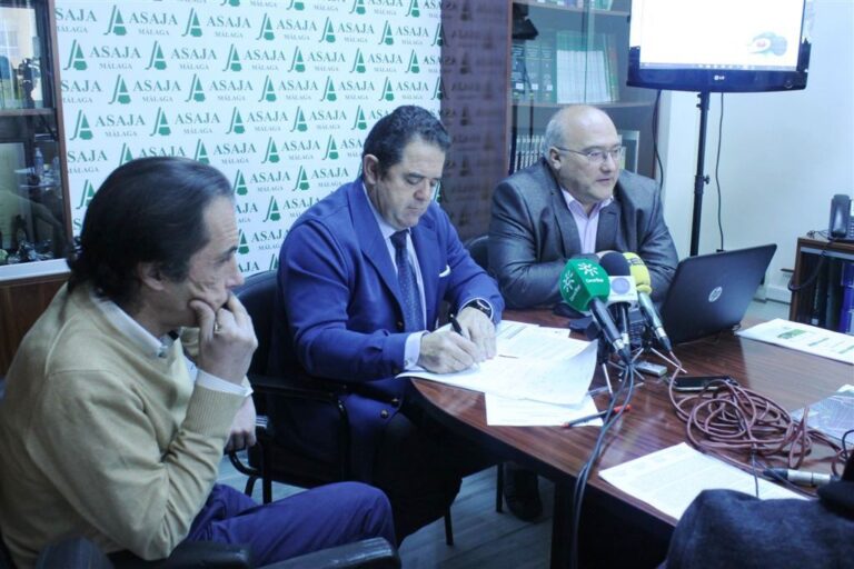 Balance Agrario Provincia de Málaga 2017
