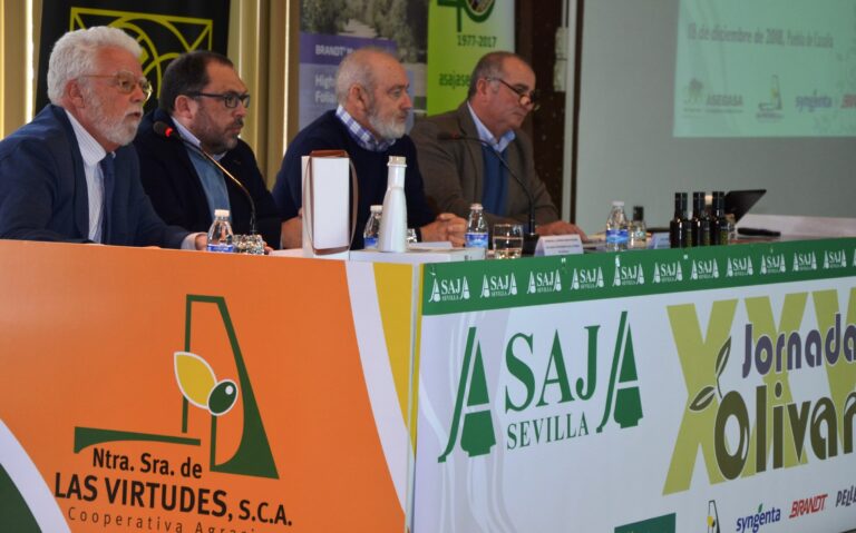 Asaja Sevilla: Pese al incremento de cosecha, España no podrá compensar la caida de la producción  mundial de aceite de oliva de la campaña 2018/19