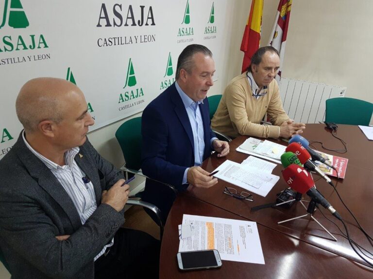 2019: Producciones muy desiguales, desgobierno político y un sector ‘solo ante el peligro’