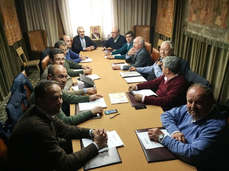 Concluye la campaña de cítricos con un descenso de la producción de un 30%