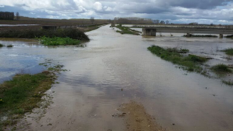 ASAJA Castilla y León advierte sobre las pérdidas en miles de hectáreas agrícolas anegadas por el agua