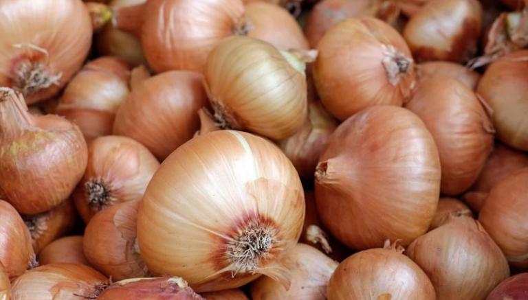 Los precios de cebollas y patatas se desploman en el campo y se multiplican por diez al consumidor