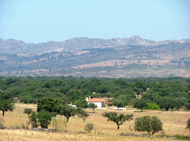 ASAJA-Andalucía rechaza que la agricultura vuelva a ser la más perjudicada por los recortes presupuestarios