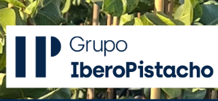 El Grupo IberoPistacho invierte en planta injertada de calidad.