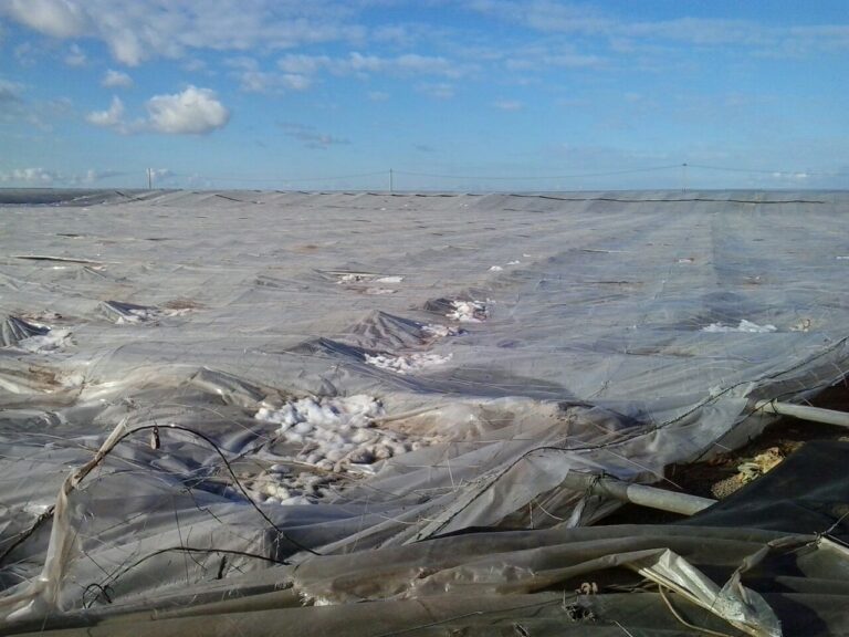 El granizo vuelve a cebarse con El Ejido y deja 60 hectáreas de invernaderos en el suelo