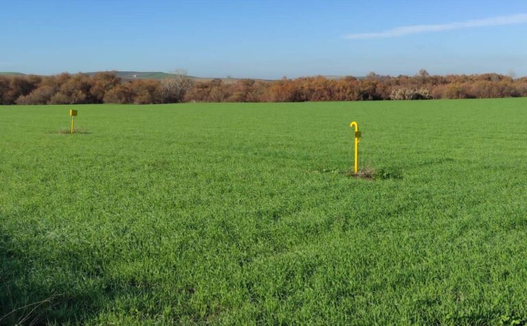 Asaja Córdoba pide que los ecorregímenes estén exentos en el impuesto de sociedades durante la PAC