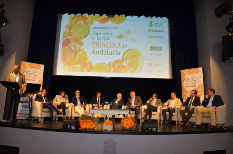 El gobierno andaluz y el sector citrícola regional reclaman una interprofesional fuerte y de carácter nacional