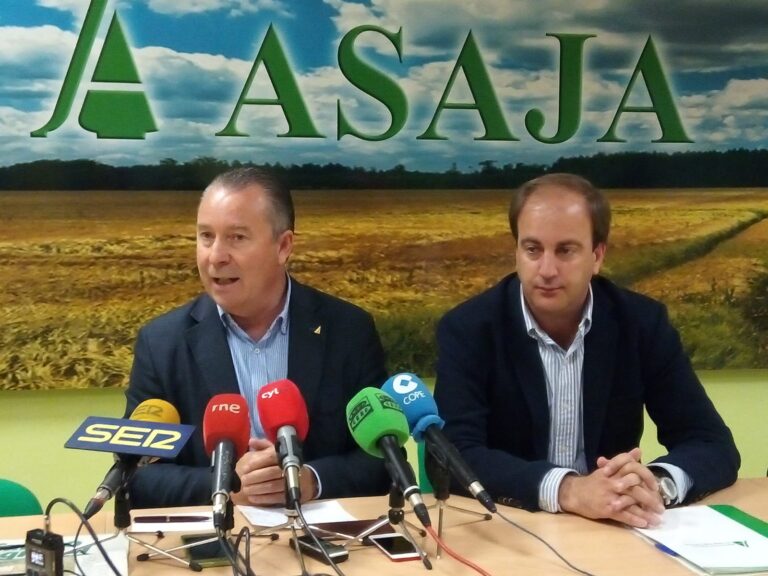 ASAJA AVILA cifra en 40 millones de euros las pérdidas en la provincia de Ávila a consecuencia de la sequía