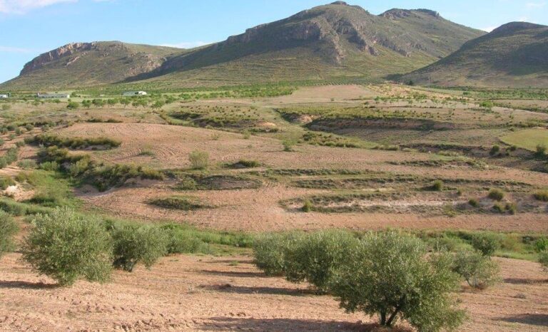 Granada. Las Comunidades de Bienes en peligro tras los cambios del Plan Estratégico de la PAC