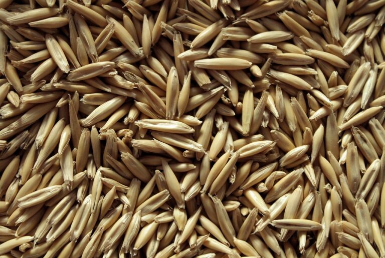 La Unión Europea vuelve a aplicar arancel en la avena importada de Ucrania al superar las toneladas exentas