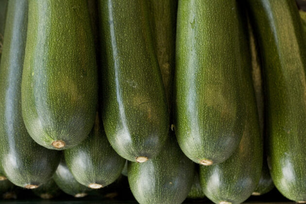 Asaja Almería denuncia que el precio del calabacín ha caído un 73%