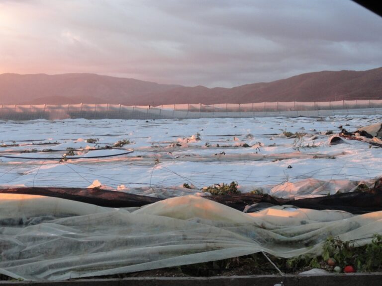 Importantes daños en los invernaderos de El Ejido debido al granizo