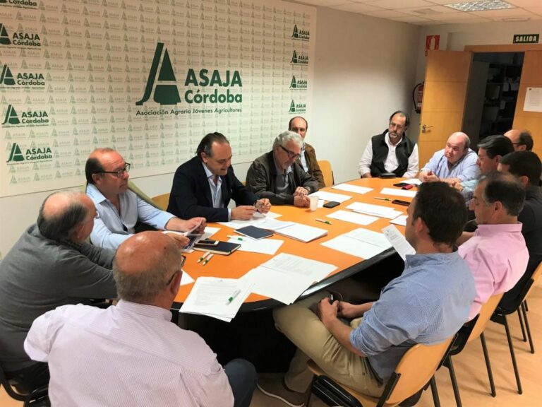 La sectorial de porcino destaca el buen desarrollo del periodo de montanera