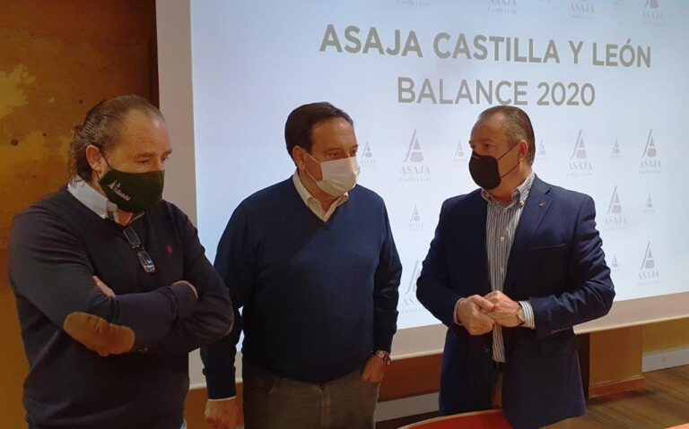 El Sector agrario salva con las lluvias y sus propias fuerzas el año más complicado