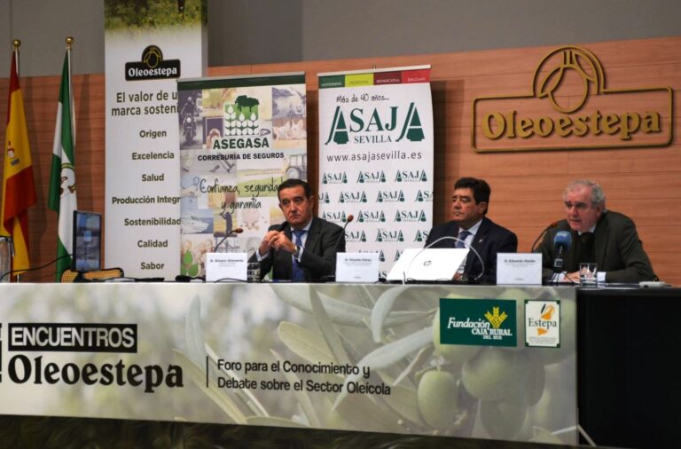 Las exigencias medioambientales de la nueva PAC pueden hacer perder a los olivareros andaluces la cuarta parte de sus ayudas