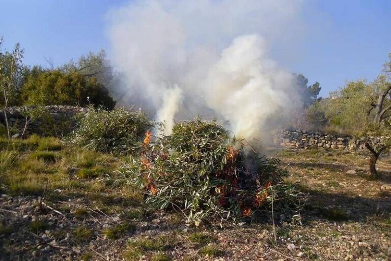Asaja Rioja ARAG exige a sostenibilidad que no retrase más la prohibición de las quemas de restos agrícolas tras levantar el congreso el veto
