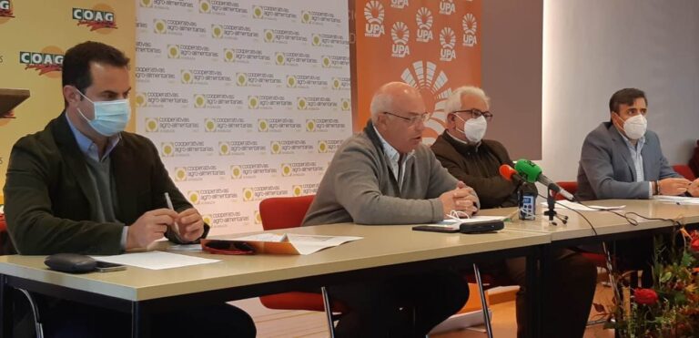 Las organizaciones agrarias Asaja, Coag y UPA y Cooperativas Agro-alimentarias, retoman las movilizaciones en Jaén pidiendo la retirada del decreto de convergencia de la PAC