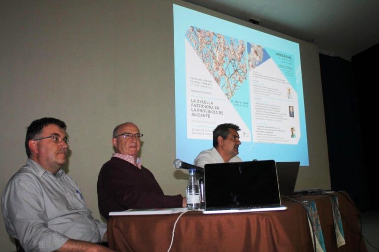 ASAJA ALICANTE: Expertos en Xylella aseguran que la Erradicación masiva de almendros no acabará con la plaga y que es una decisión que únicamente responde a intereses políticos y económicos
