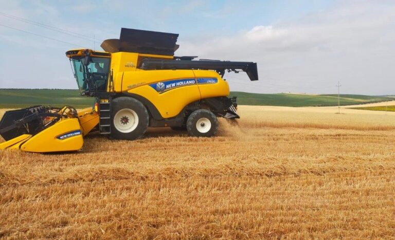 Comienza la recolección de cereales en la provincia de Córdoba con producciones mínimas por la sequía