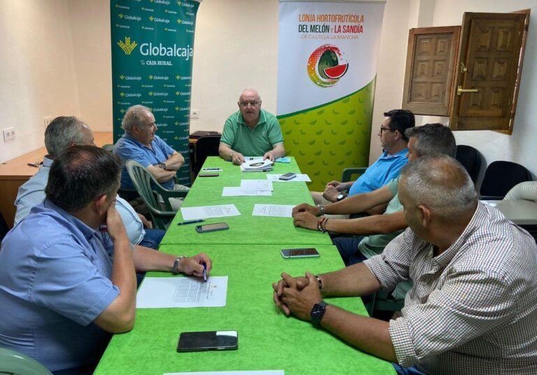 Primeros precios para el melón y la sandía de Castilla-La Mancha