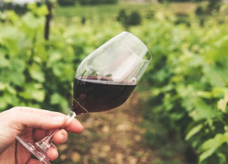 Asaja destaca el desinterés de los viticultores por optar a nuevas plantaciones de viñedo en las D.O. “Bierzo” y “León”