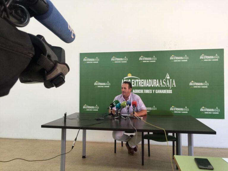 APAG Extremadura Asaja alerta de la caída de los precios de la uva y la falta de mano de obra para la vendimia