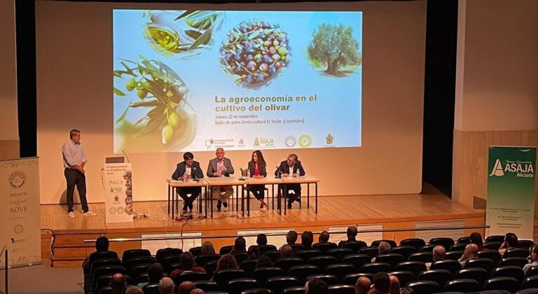 Asaja Alicante crea “Olis d’Alacant” para poner en valor el cultivo del olivar de la provincia