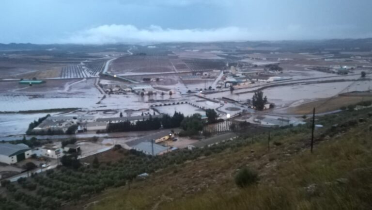 ASAJA Málaga vuelve a denunciar que la falta de limpieza en los cauces ha empeorado la situación tras las fuertes lluvias